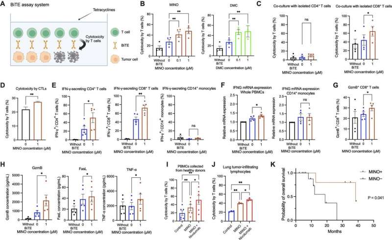Antibiyotikler kanserle savaşmanın yeni bir yolunu ortaya koyuyor